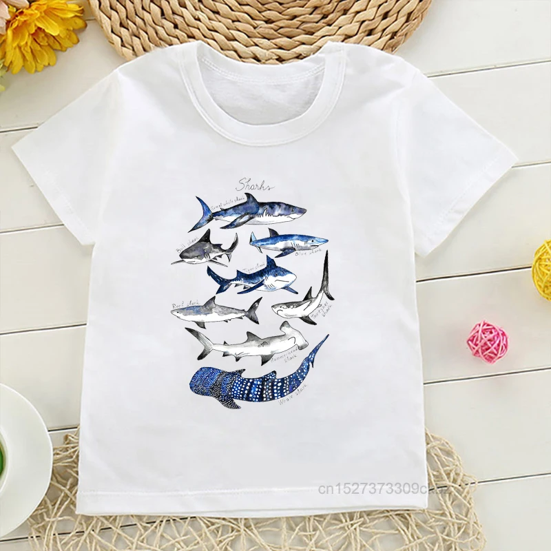 Types Of Shark Identification Cartoon Print Tshirt Boys Kawaii Kids Clothes Cute T-Shirt Children\'S Clothing Summer Tops Tee