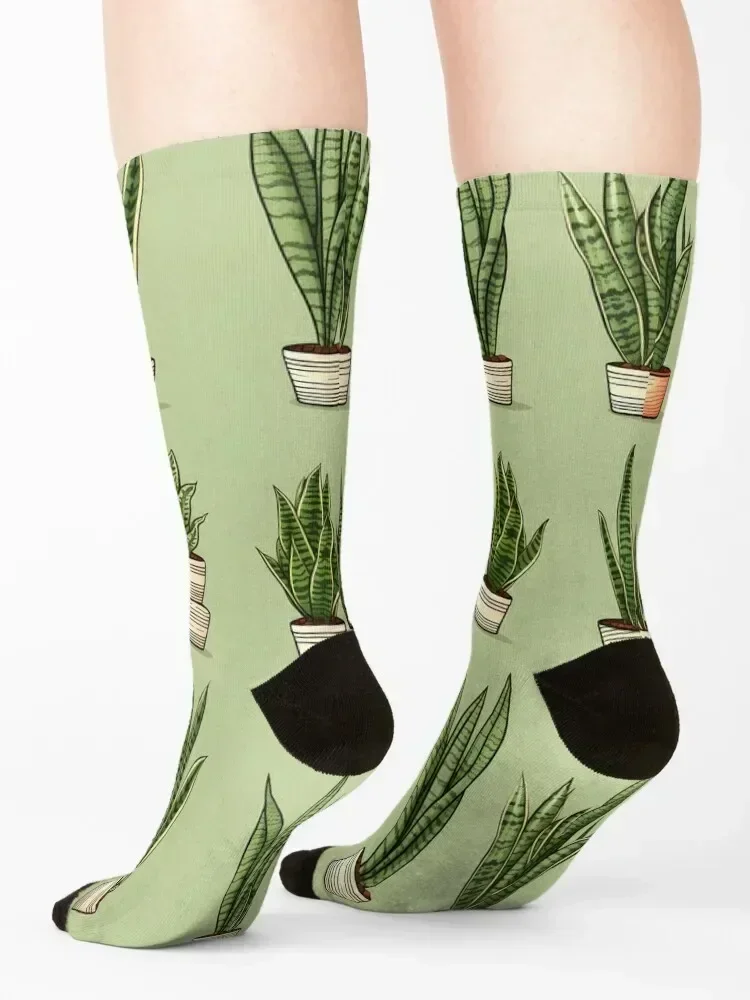 Snake Plant - sansevieria Icon Style #15 Socks luxury Novelties new in's christmas gift Men's Socks Luxury Women's