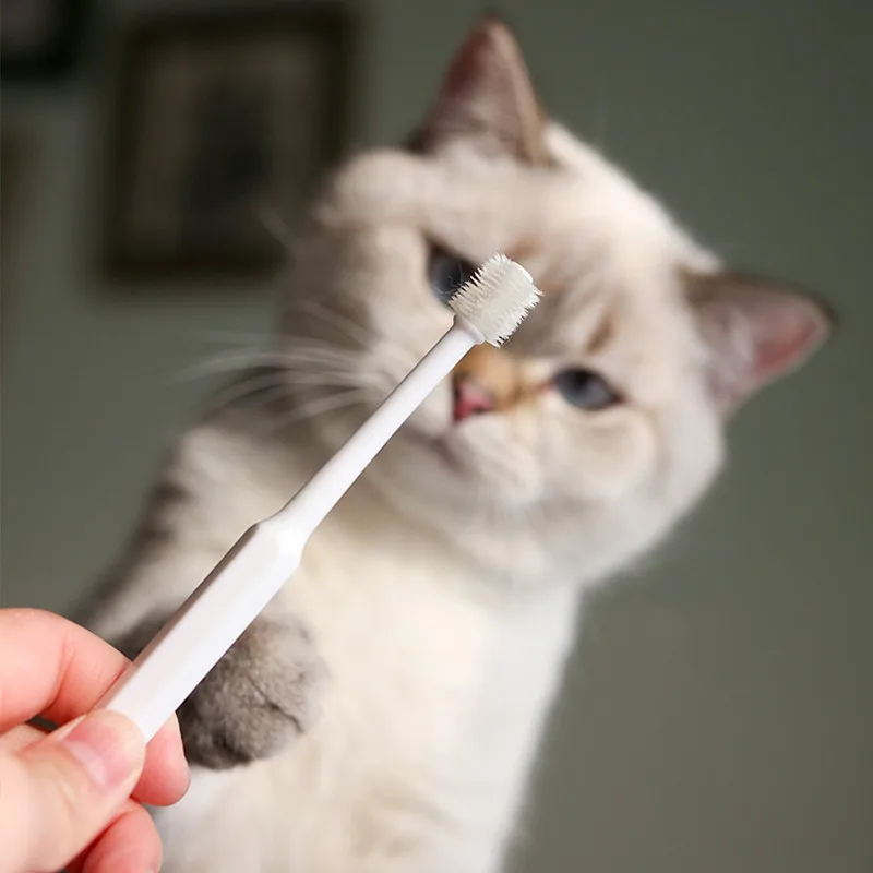 Cepillo de dientes para gatos, cepillo de pelo suave para limpieza bucal, productos para mascotas