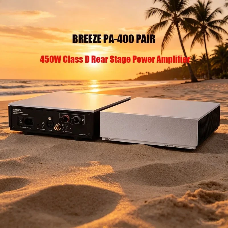 2026 New Material Weiliang PA400 Mono Class D Power Amplifier HiFi Ultimate Amplifier 450W purifi HYPEX