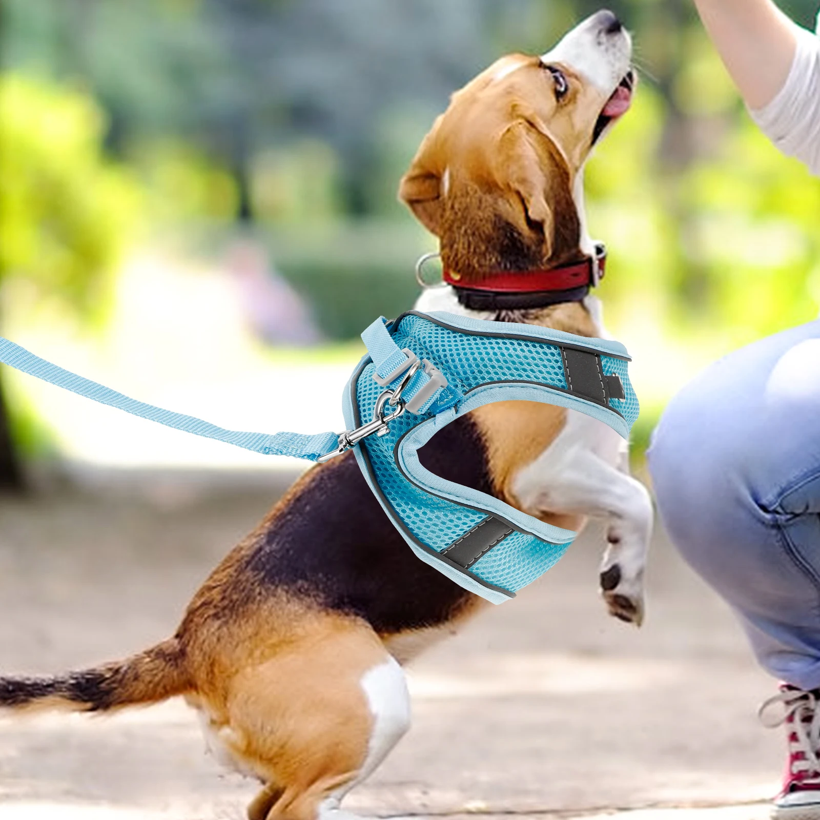 

2 Pieces Pet Harness Breathable Reflective Dog Harness Small Blue Grey S Size Walking Leash Durable Wear Resistant Outdoor