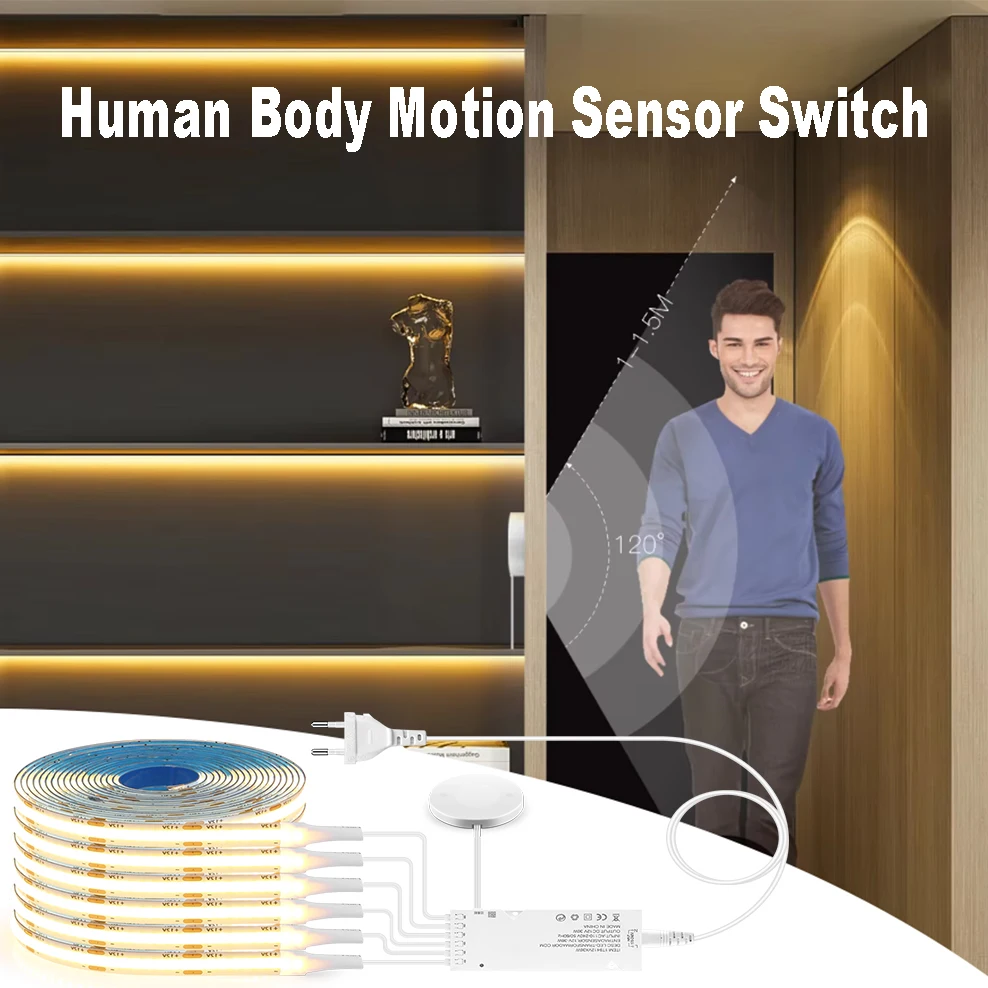 Human Body Motion S…