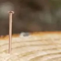

Tree Killer Nails 2-inch Copper Nails For Killing Trees Stump Root,Stump Removal Spikes Hardware For Trees Kill Tree Nails