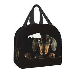 Dachshund Insulated Lunch Tote Bag Portable Thermal Cooler Food Bento Box for Work School Travel Sausage Wiener Dog Lunch Bags