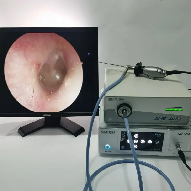 Medical Surgical Φ4X1800mm 2000m 2500mm 3000mm Endoscope Microscope Cold Light Source Optical Fiber Cable Autoclavable