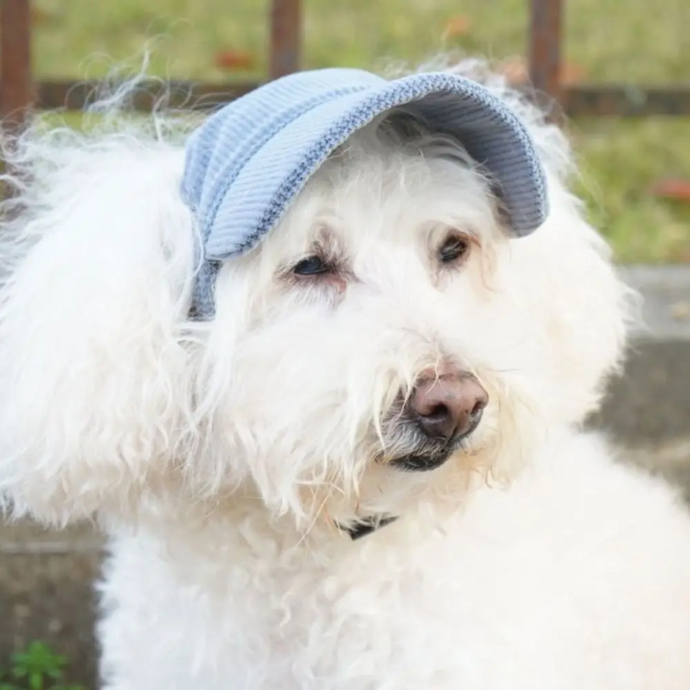 Household Corduroy Pet Dog Sunhat Adjustable with Ear Hole Pet Baseball Cap Stretch Chin Rope Dog Visor Hat Travel
