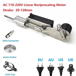 AC 110V/220V Aluminum Alloy Linear Actuator Reciprocating Telescopic Motor 120mm Stroke Aluminum Alloy 3XLR Connector DIY Toys