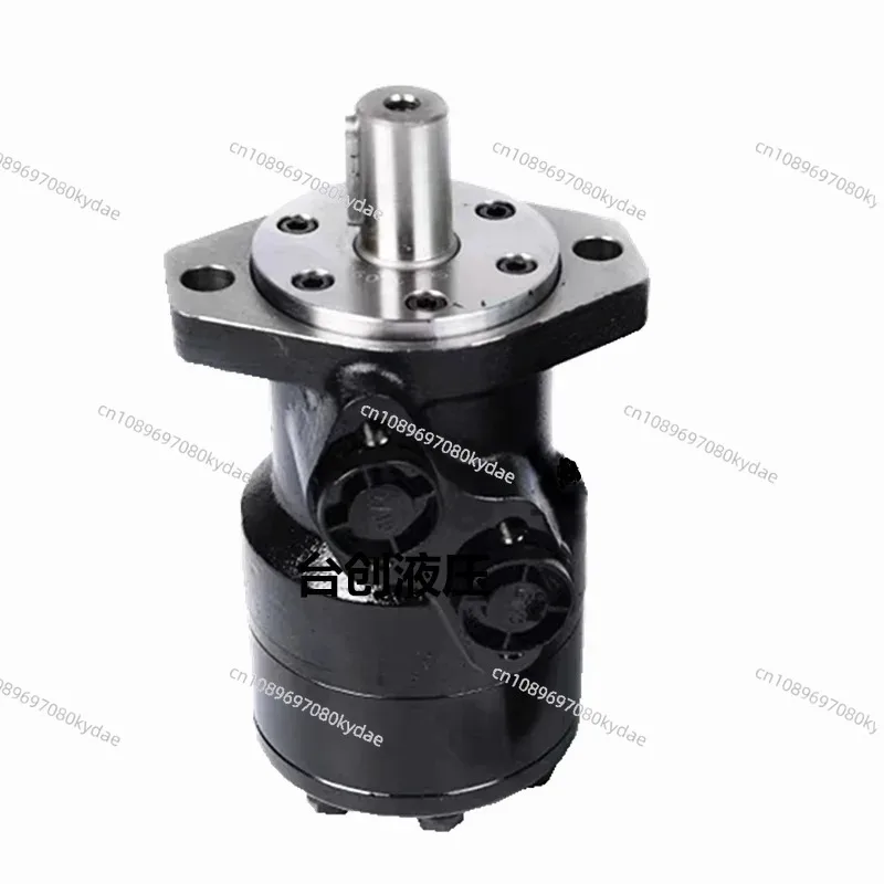 Hydraulic Motor/BMR80/50/100/125/160/200/250/315/400/oil Pressure BM1/BM2