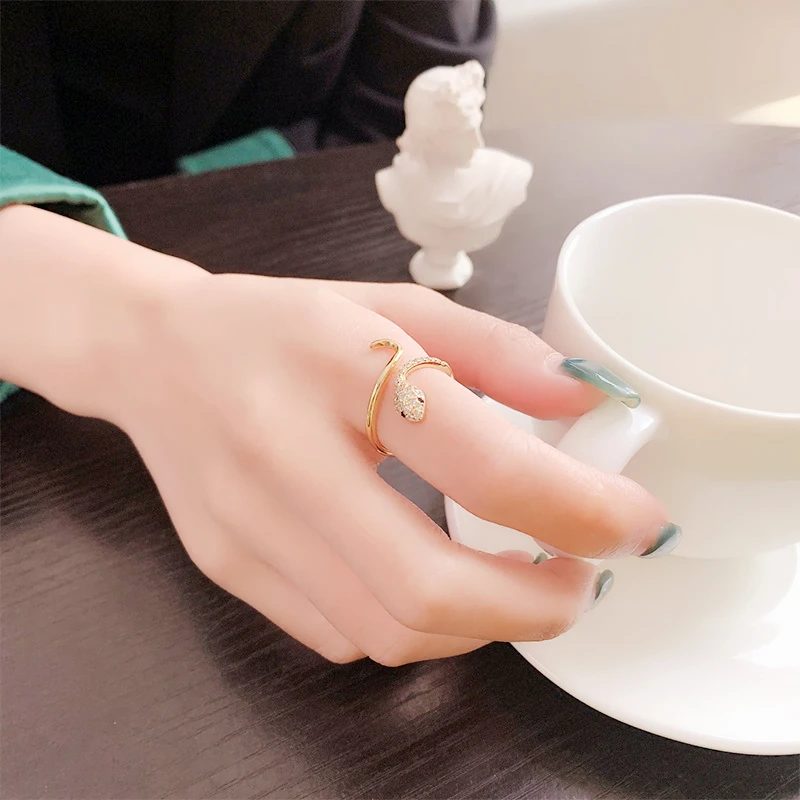 Sole Memory Ins Antique Zircon Shining Snake Cool 925 Sterling Silver Female Resizable Opening Rings RI1190