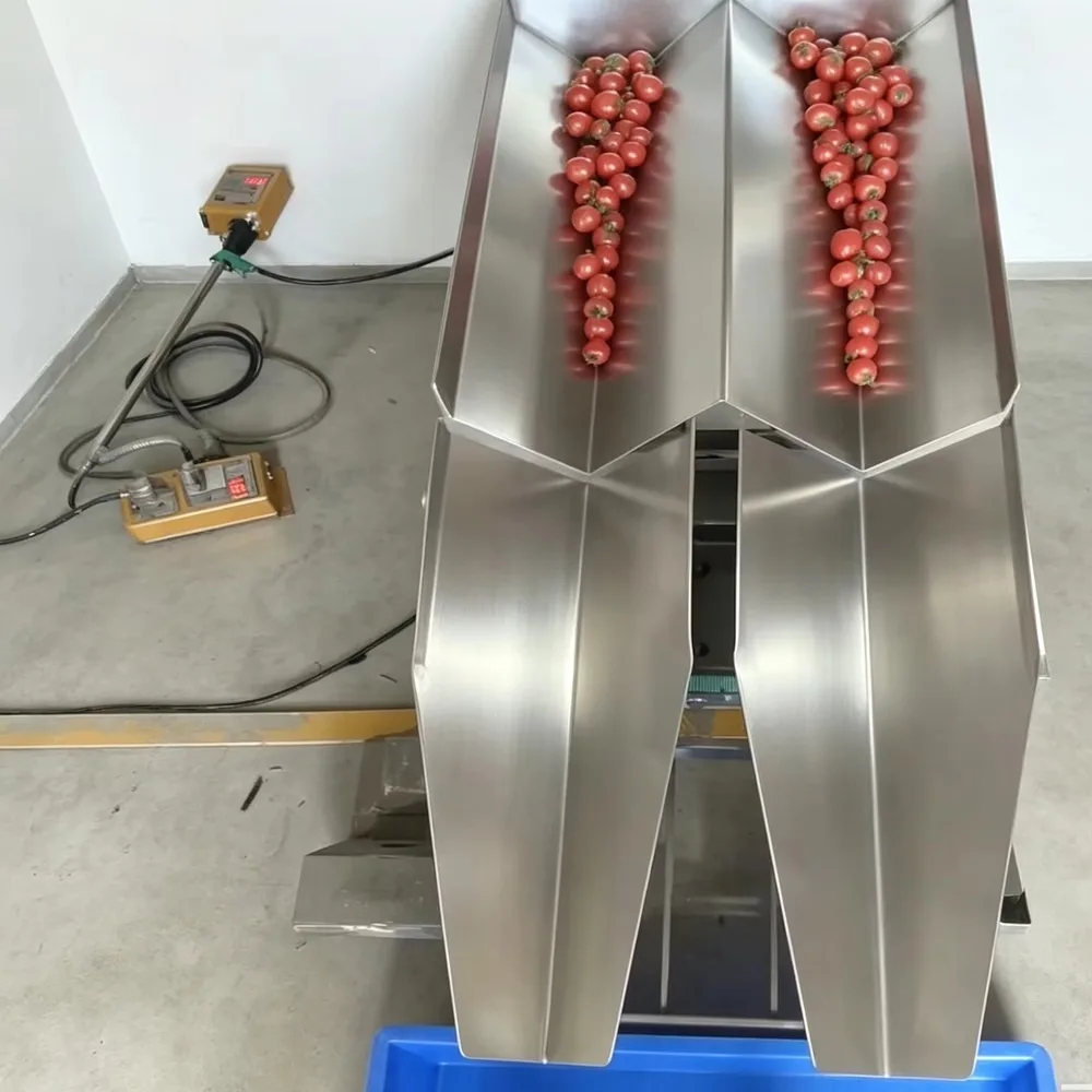 DSW Dual Channel Electromagnetic Vibrating Feeder 60KW Multi-Voltage Precise Quantitative Material Feeding 1 Year
