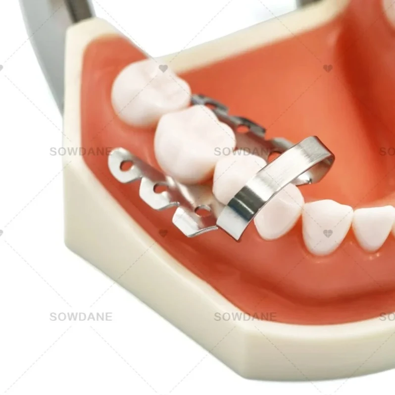 H Lab Dam Clamp Rub…