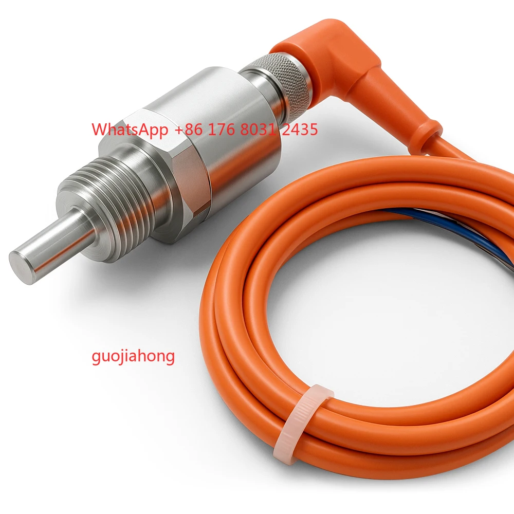 

Electronic Flow Switch High-Tech Flow Meters for Accurate and Convenient ing
