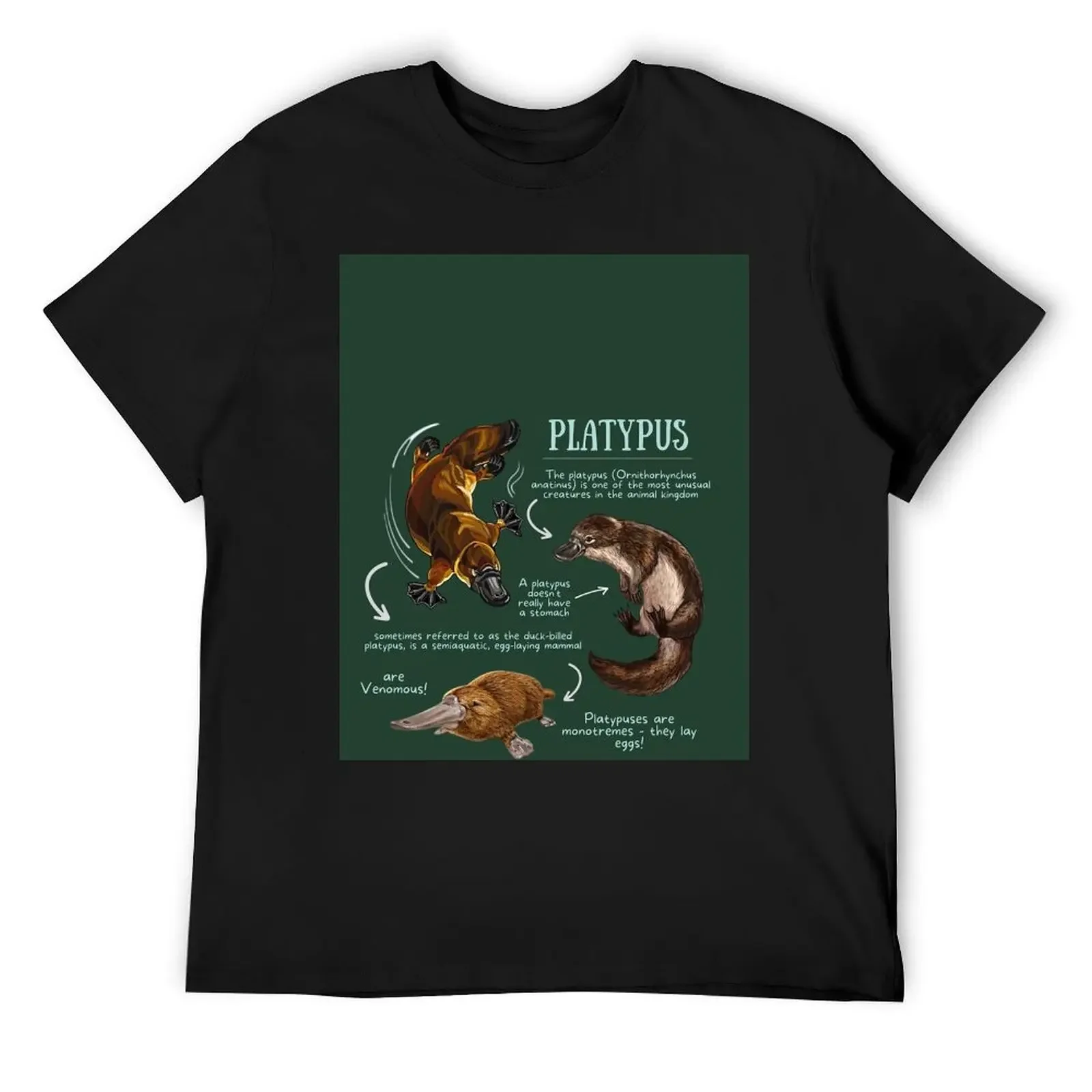 Platypus Fun Facts T-Shirt animal prinfor boys graphic t shirts mens vintage t shirts