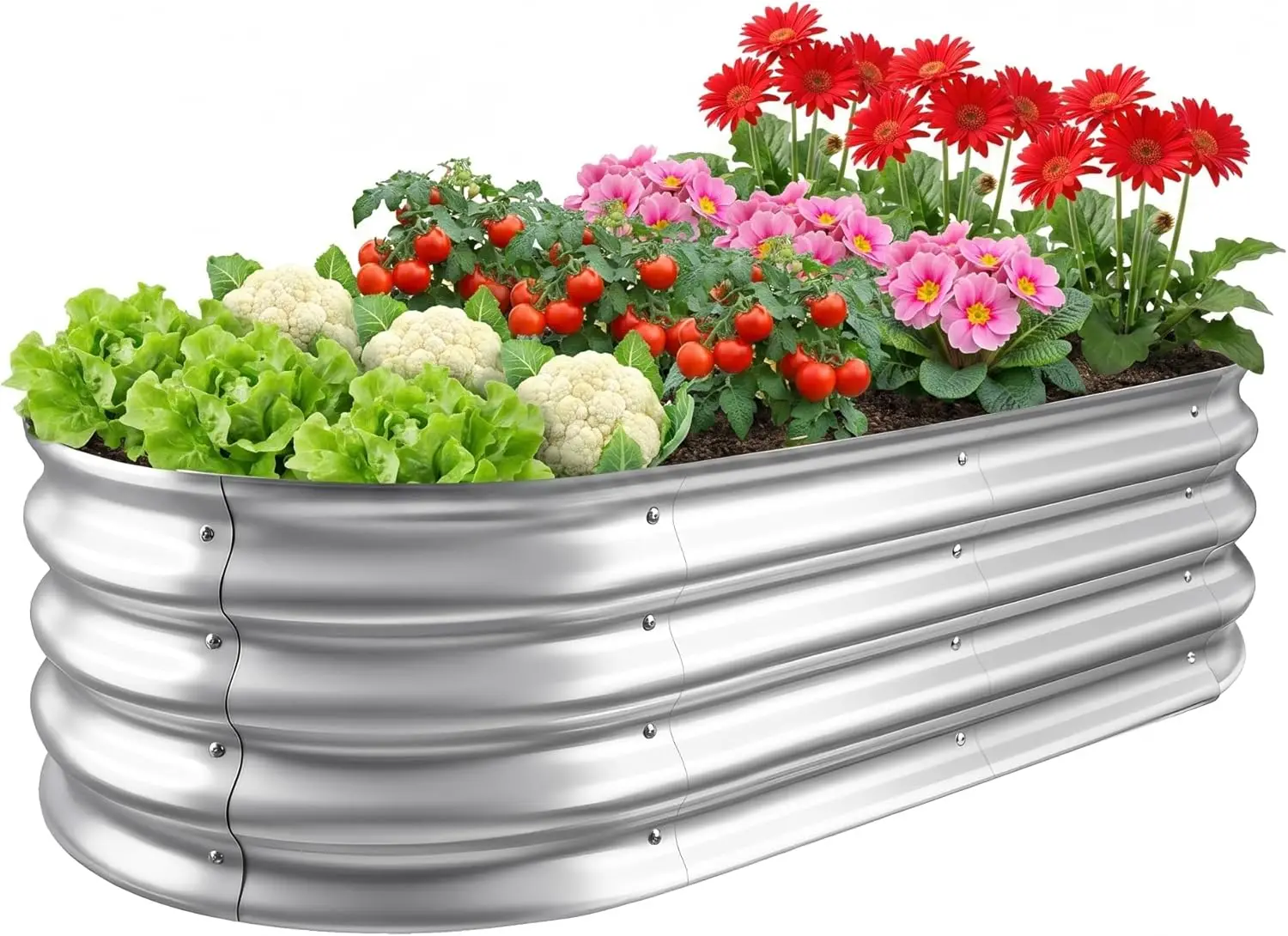 

Raised Garden Bed - Outdoor Galvanized Raised Garden Bed Planter Boxes, Large Oval Metal for Gardening Planter Box Kit,S