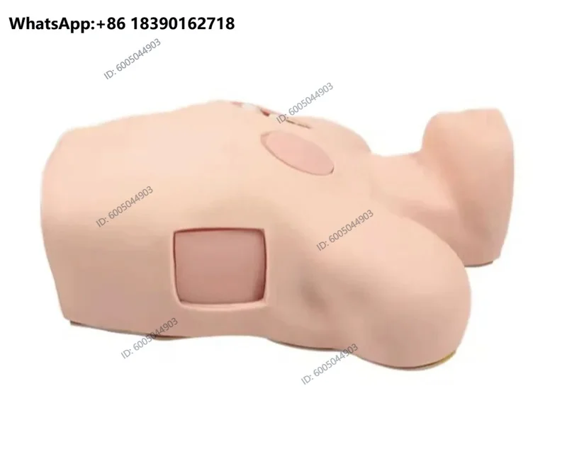 Thoracentesis And Drainage Model,Pneumothorax Puncture Hydrothorax Intubation Care, Chest Wound Nursing Teaching Simulator