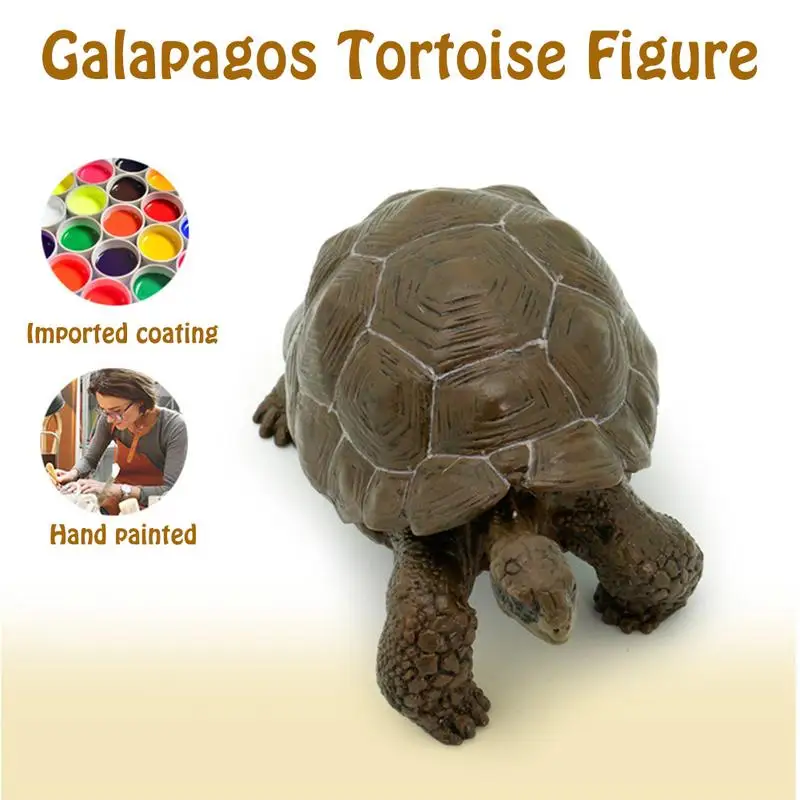 Modèle de tortue angitortue Nimal pour enfants, tortue Galapagos, figurine animale, jouet de collection, cadeau de Noël, pouces