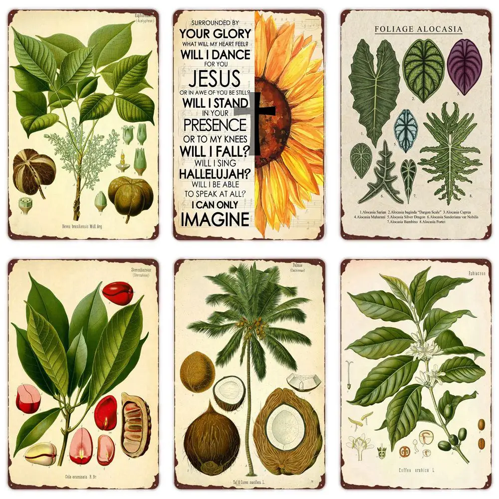 Pflanzen herbarium Vintage Metall Zinns child, Cola Acuminata, Retro Poster, Illustrationen, Kunst malereien, Heim zimmer, Bar, Wand dekor – Detail 1
