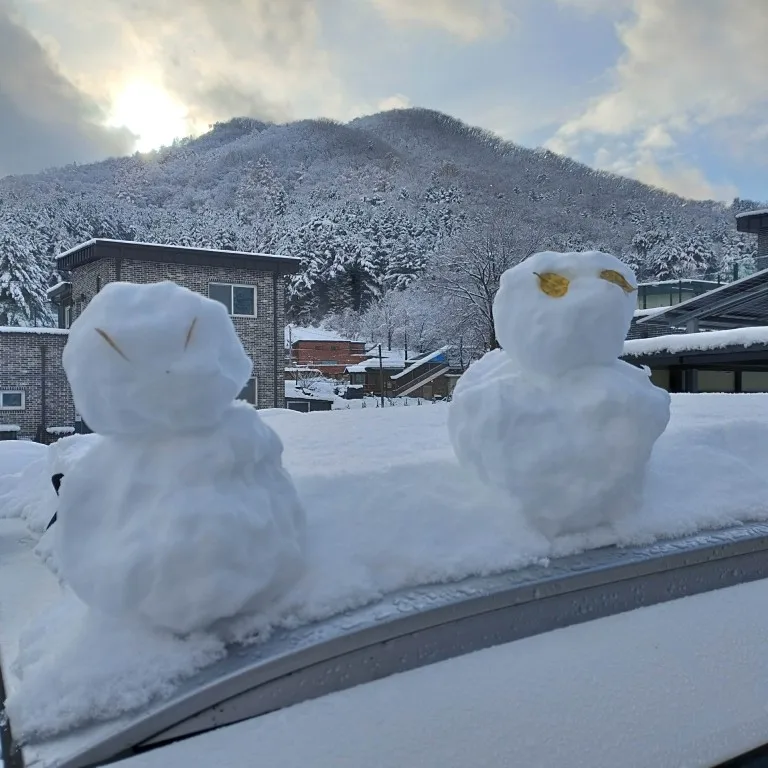 구매후기