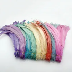 Wholesales 500PCS Rooster Tail Feathers Macaron Color 14-16inches 25-30CM 30-35CM 35-40CM For Colored Costume&Mask