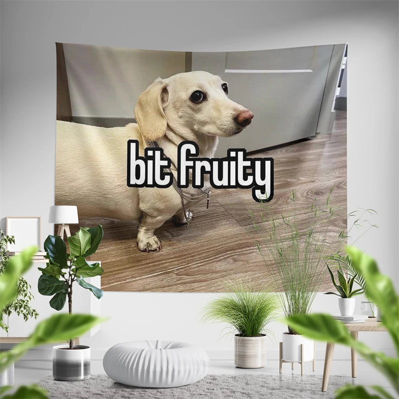 Aertemisi Bit Fruity Homophobic Dog Funny Meme Tapestry Wall Hanging Art for Bedroom Living Room Decor Party Backdrop