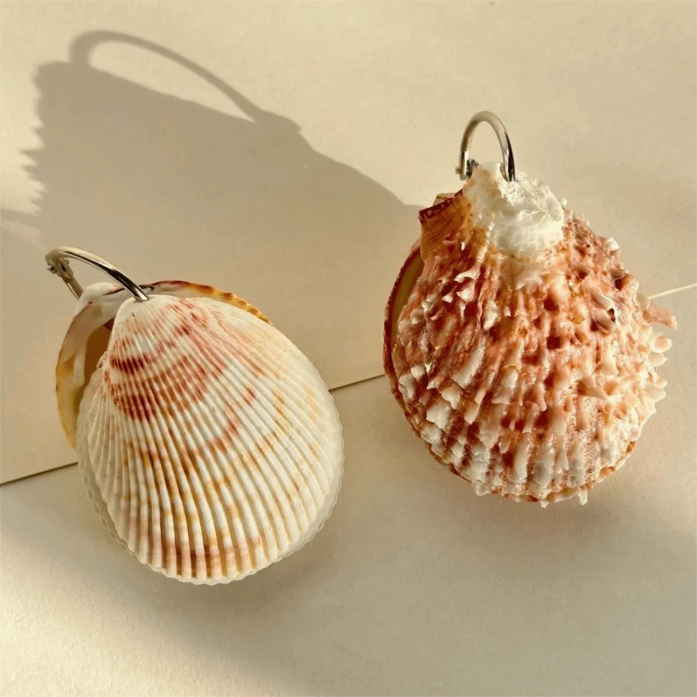 Natural Shell Abalone Shell Notebook Lightweight Smooth Pages Natural Seashell Notebook Mini Compact Gradient Color Sketchbook