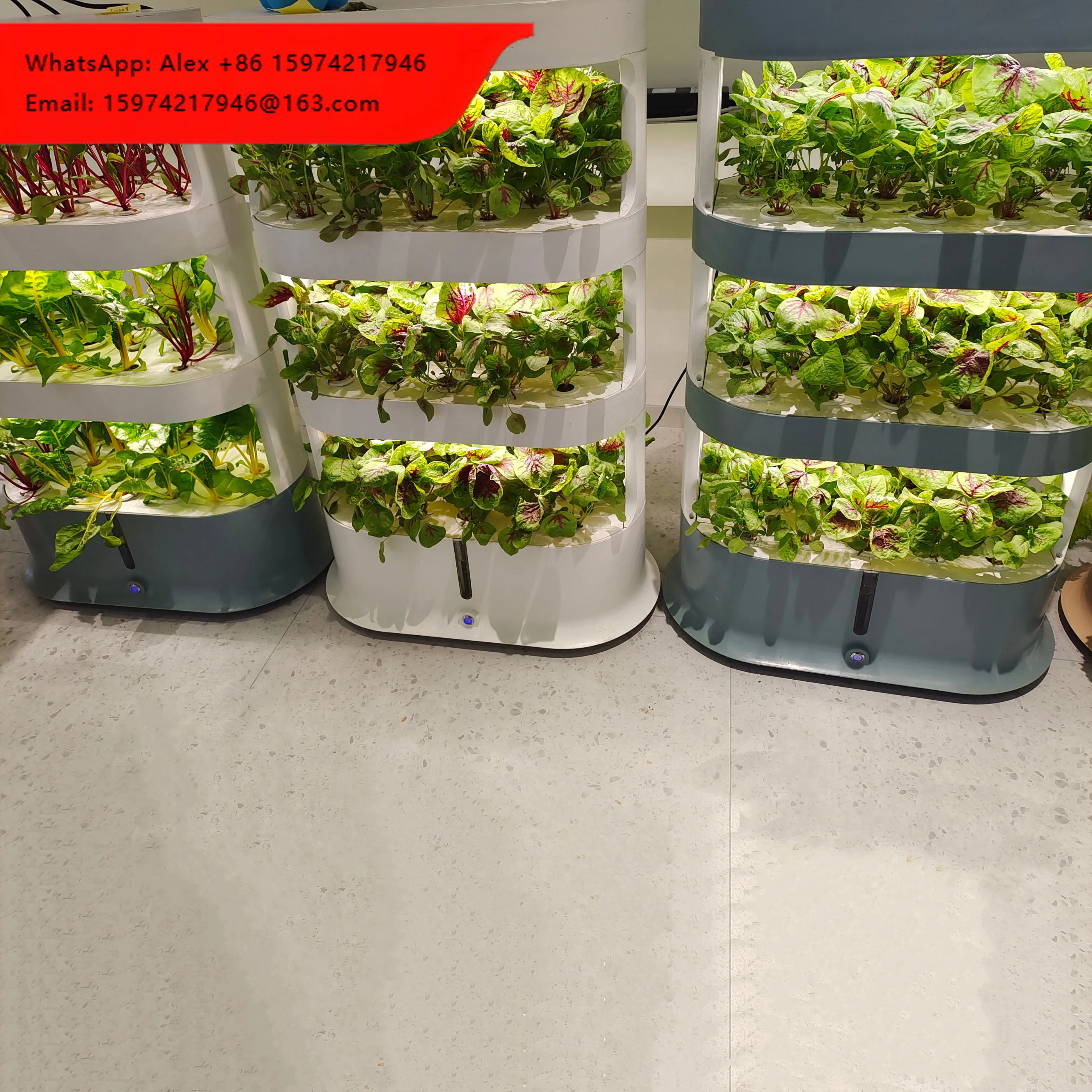 Indoor Hydroponic Soilless Planting Smart Grow Box