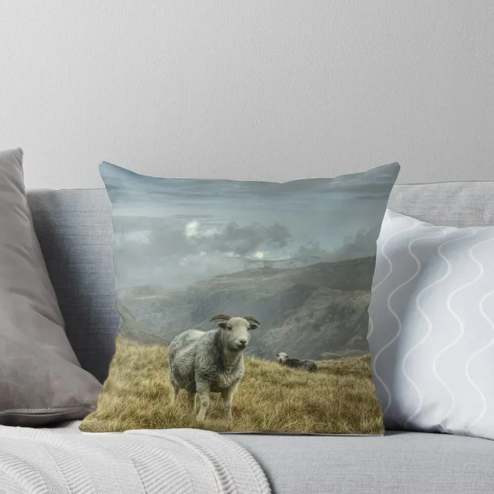 

A Lakeland Icon Throw Pillow Christmas Pillowcase Pillow Covers Decorative Pillow Cases Decorative Cushion Cover