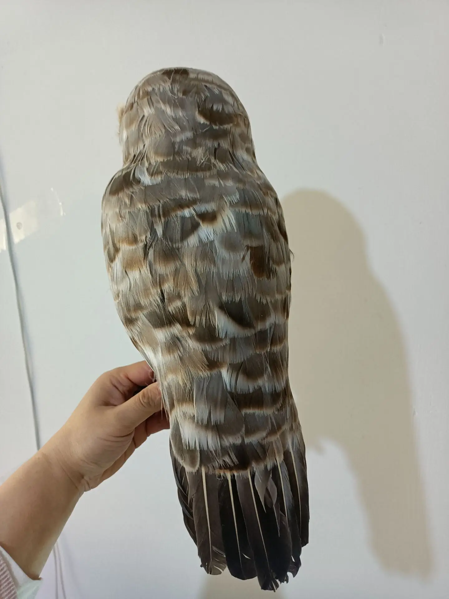 Gray Night Owl Model Handicraft Simulation Foam Feather Home Garden Decoration Gift Approximately 32cm Size P2682