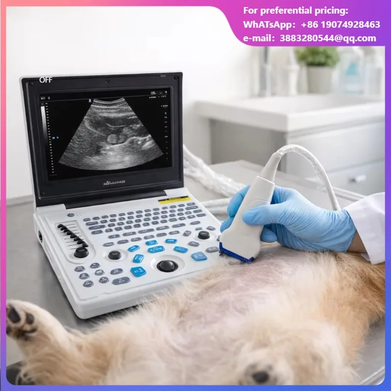 Vet Equipment Ultrasound Diagnostic System Black And White Veterinary Ultrasound Scanner With Convex Array Probe