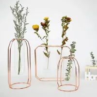 Nordic Style Glass Flower Pot Iron Art Vase Rose Gold Hanging Test Tube Flower Vases Home Office Decoration Desk Flowerpots
