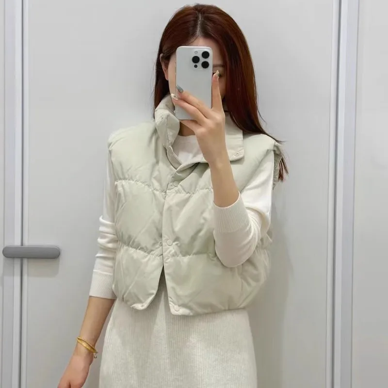 

Женский утепленный жилет-пуховик для осени и зимы, новый, для повседневной носки, ветрозащитный, с длинными рукавами, теплый, с воротником-стойкой, из чистого хлопка.