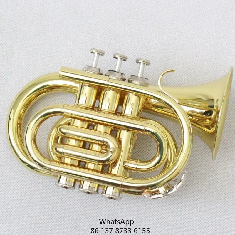 

Wholesale Price Pocket Trumpet Brass Body Gold Lacquered Pocket Trumpet Instrument
