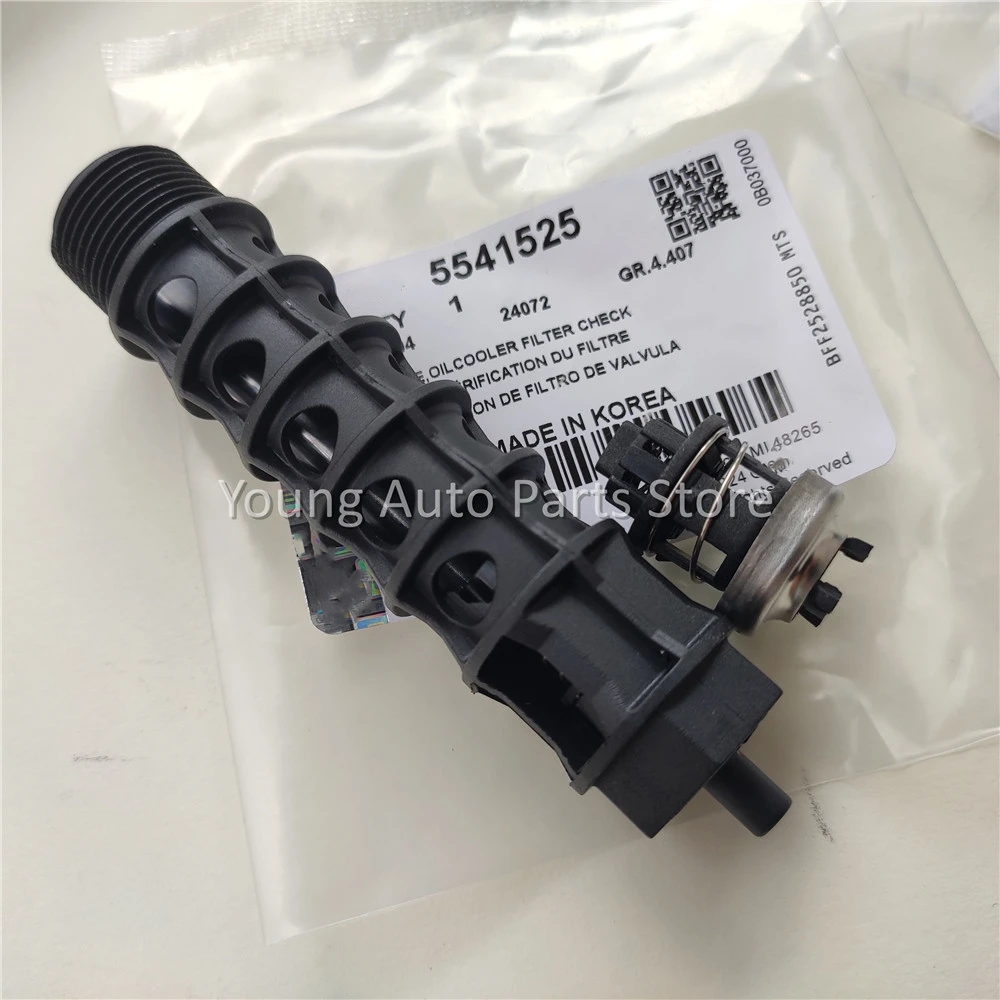10Pcs Filter Check One Way Air Valve for Opel Zafira Vauxhall Astra Chevrolet Cruze 5541525 93186324 55353322