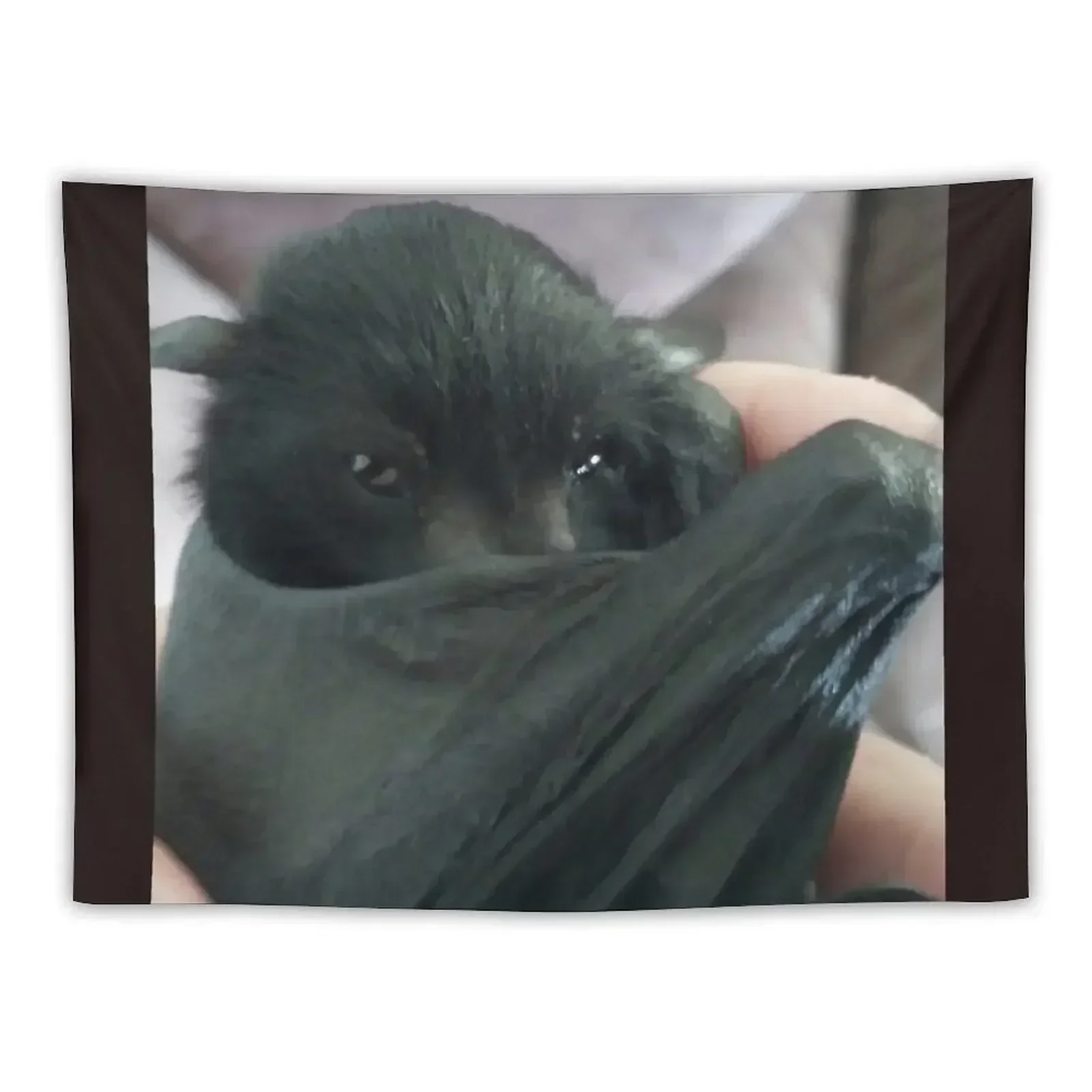 

Larry The Bat No Text Vampire Impression . Tapestry Room Decor For Girls Custom Cute Room Decor Home Decor Aesthetic Tapestry