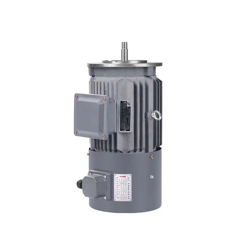 

Frequency Variable and Speed Adjustable Three Phase motor YVP electric motor for Variator