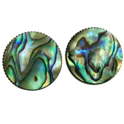 Abalone Shell Lapis Lazuli Tiger Eye Opal Aventurine Malachite Howlite Crystal Blue Sand Goldstone Women Clip Earrings WB656b