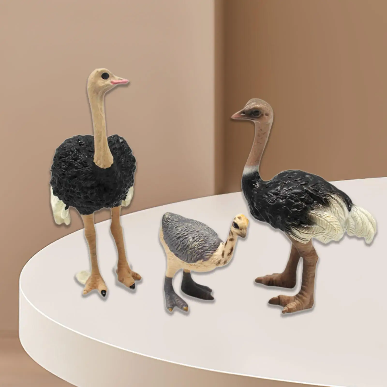 Figurines d'oiseaux à collectionner pour bureau et café, modèle quelque part Birds Animals, 3x