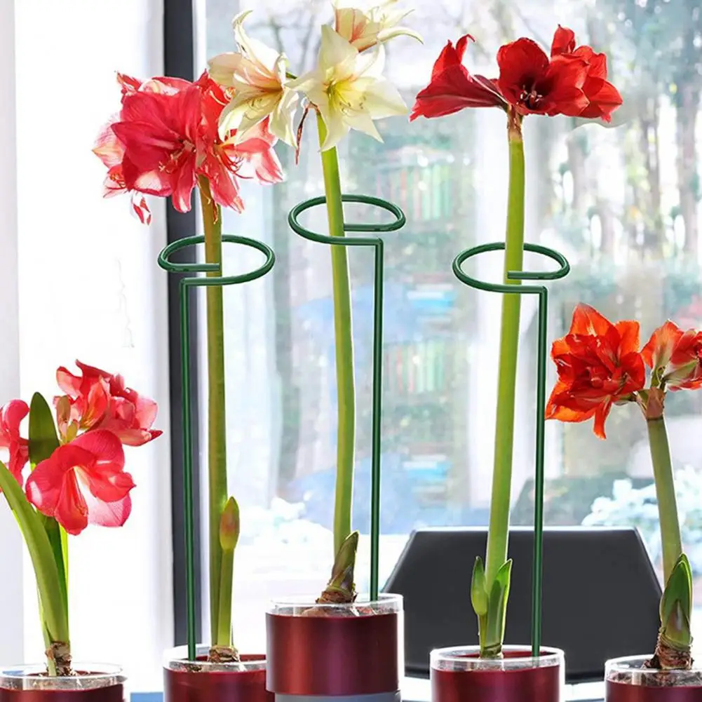 Weather-resistant Plant Stake Vertical Garden Stake Tomato Twist Stakes for Climbing Plants Spiral Plant for Orchids for Home