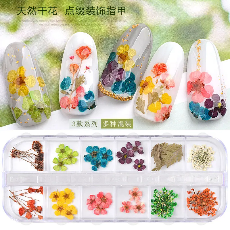 12 Kleur/Doos Nageldecoratie 3d Gedroogde Bloem Natuurlijke Bloemen Gemengde Droge Bloem Diy Sieraden Bedels Uv Gel Polish Nail Art Stickers