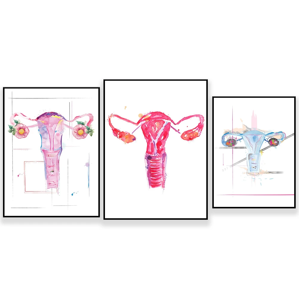 Uterus Anatomy Artwork, Midwife Art, OBGYN Artwortk, OBGYN Office Art, Medical Arts, Gynecologist Gift, Midwife Gift, OBGYN Gift
