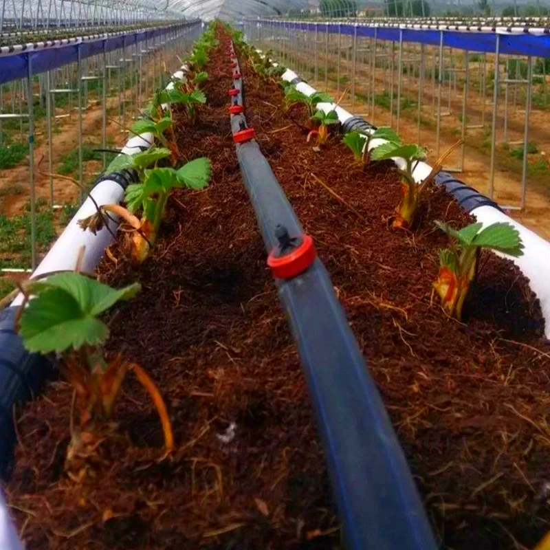 2L 4L 8L gocciolatore di irrigazione di tipo compensato a pressione flusso costante emettitore di irrigazione da giardino raccordo a goccia per serra da frutteto