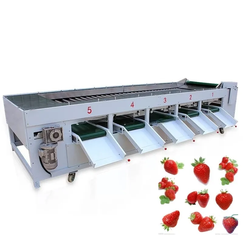 Blueberry-Sorter Raspberry Blueberries Sorting Machine by Softness Fruit Berries Sorting Machine for Cherry 6 Lines Customized