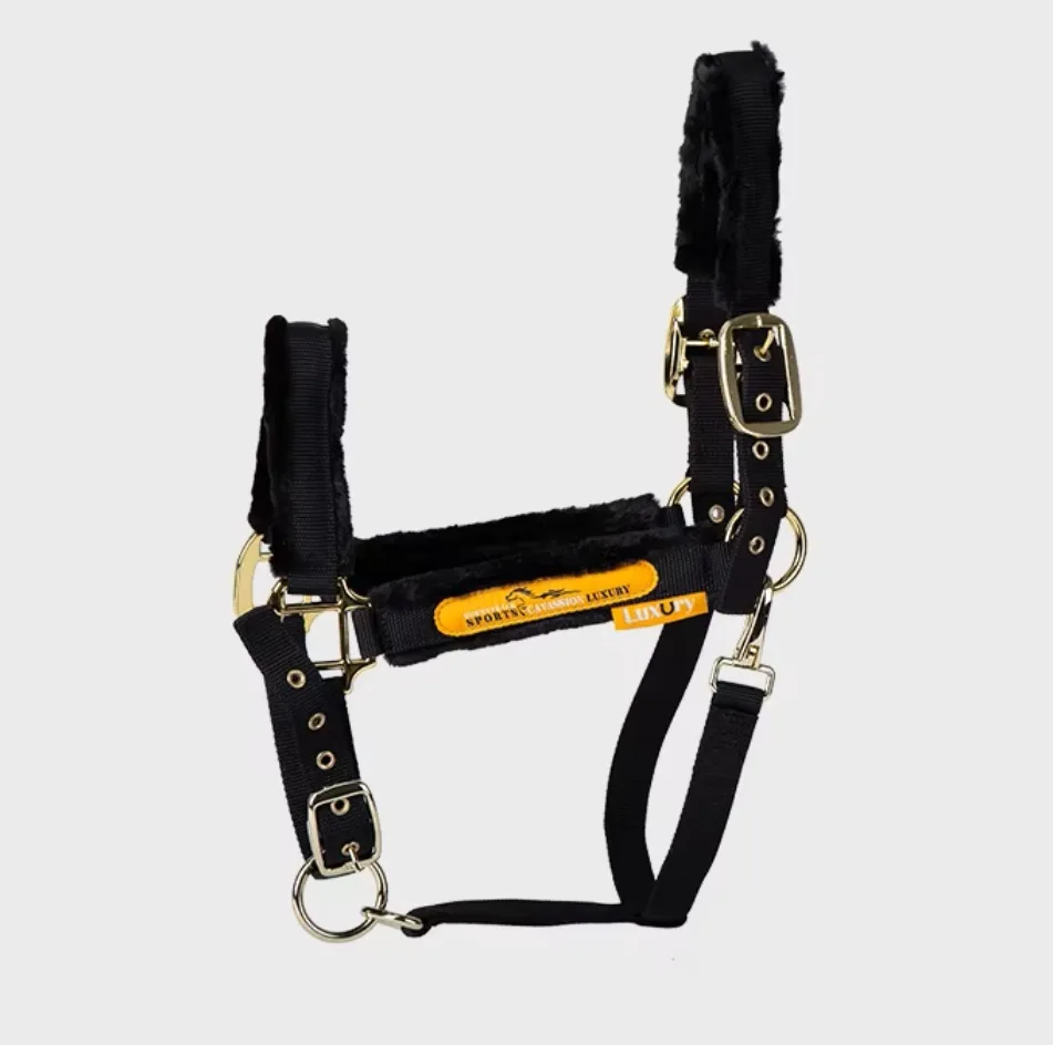 الرياضة الفروسية الرصاص طوق الرأس النايلون الحصان المنسوجات Bridle الفروسية الرياضة الحصان الرسن الرأس