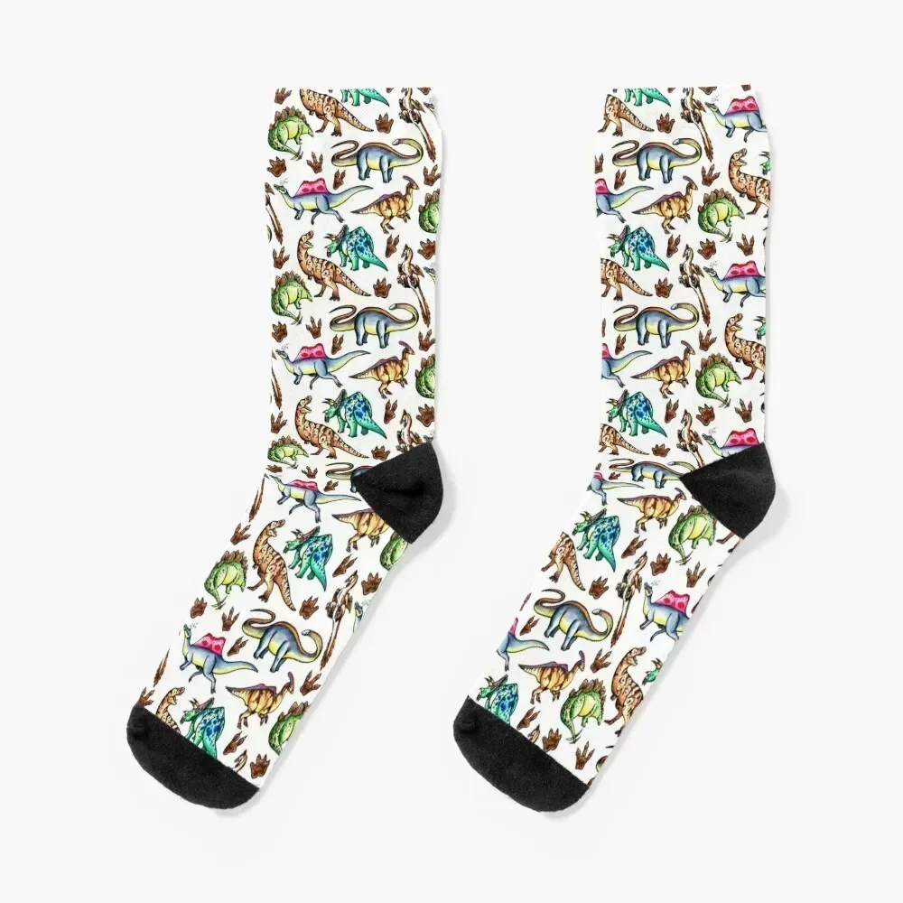 

Dinosaurs! Socks football summer essential floral Boy Child Socks Women's