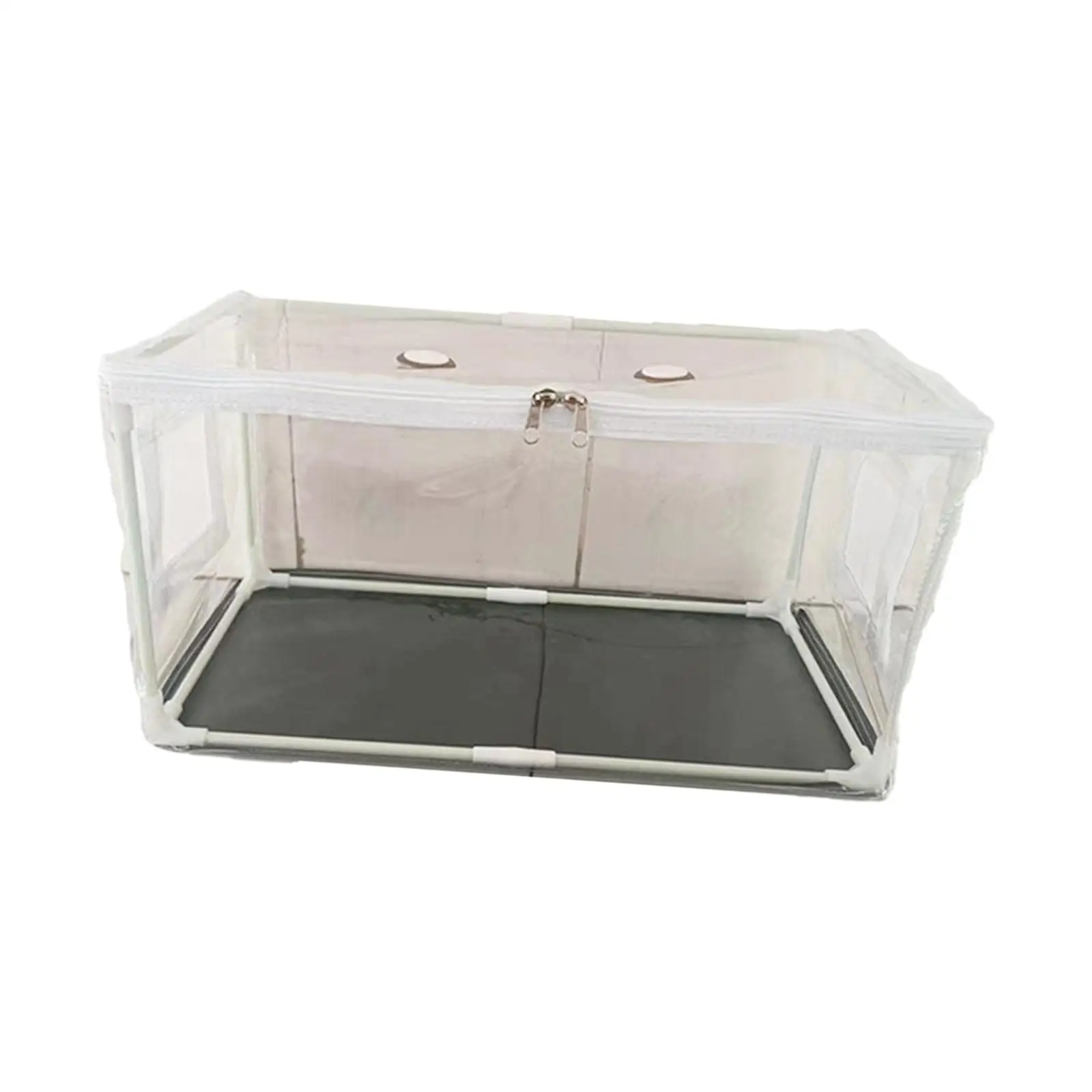 Portable Mushroom Growing Container Transparent Cover Foldable PVC Mini Greenhouse DIY Kit Mushroom Planting Supplies