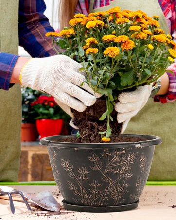 12 inch flower pots