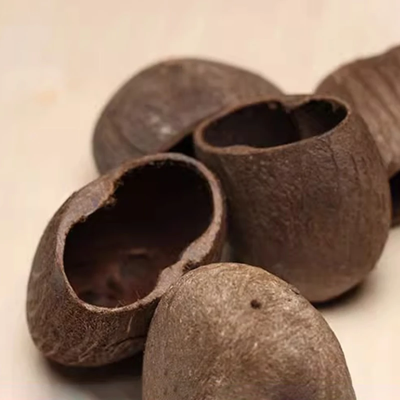 DIY フルーツシェル風鈴手作りサウンドバンドル屋外瞑想風鈴サウンドヒーリングベル材料アクセサリー