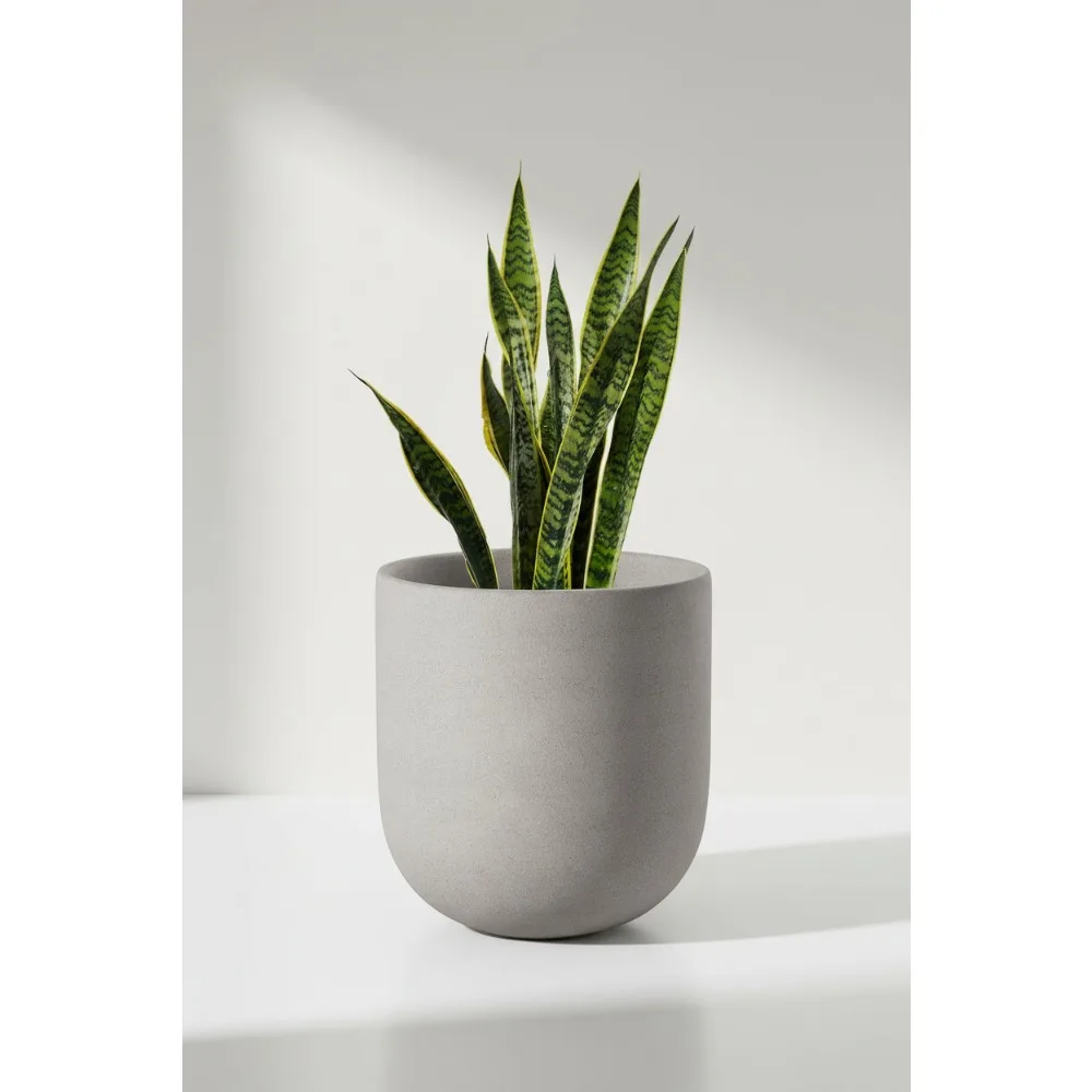 

10 Inch Ceramic Plant Pot with Drainage Hole, Indoor Outdoor Flower Planter for Home Garden Office, Neutral Gray