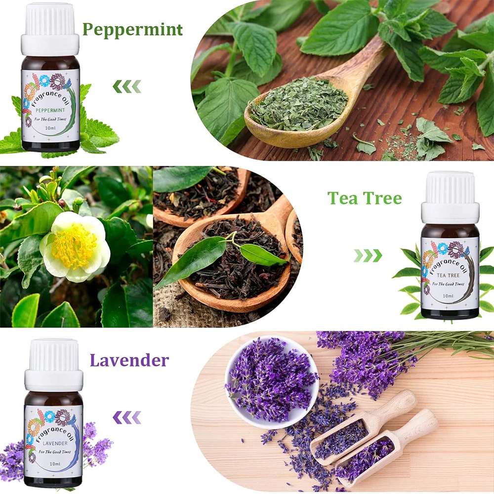 Essential Oils for Diffusers for Home 6 Pack Fresh Scented Oil Aromatherapy with Lavender Lemongrass Fragrance Candle Making
