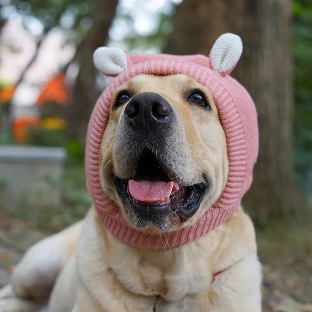 Funny Frog Dog Hat Cute Knitted Pets Golden Retriever Labrador Headgear Cap Birthday Party Headwear Costume for Large Dogs